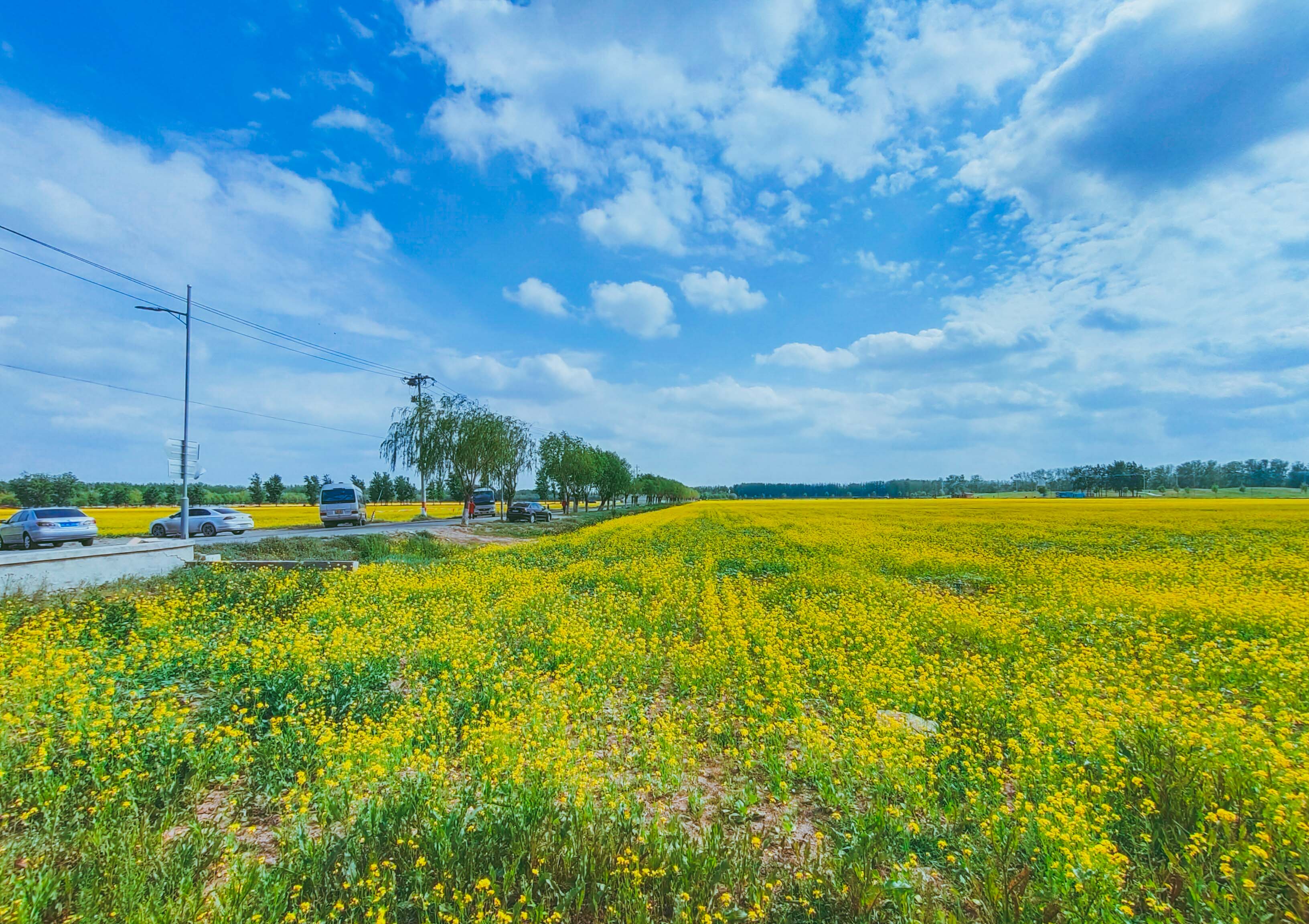 粉丝生活楼台村像童话世界更像是漫画中的世界