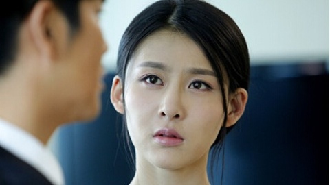 妻子的谎言dvd版