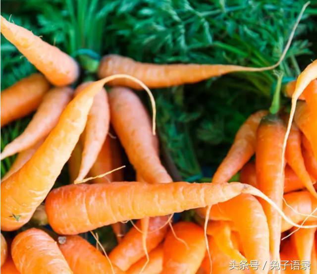 胡萝卜含有大量胡萝卜素,有补肝明目的作用,可治疗夜盲症