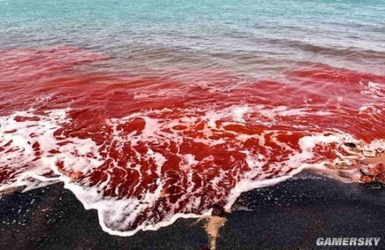 红海为什么是红的图片
