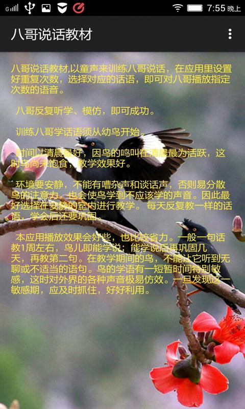 【八哥说话教材客服电话】八哥说话教材联系电话|八哥说话教材市场部