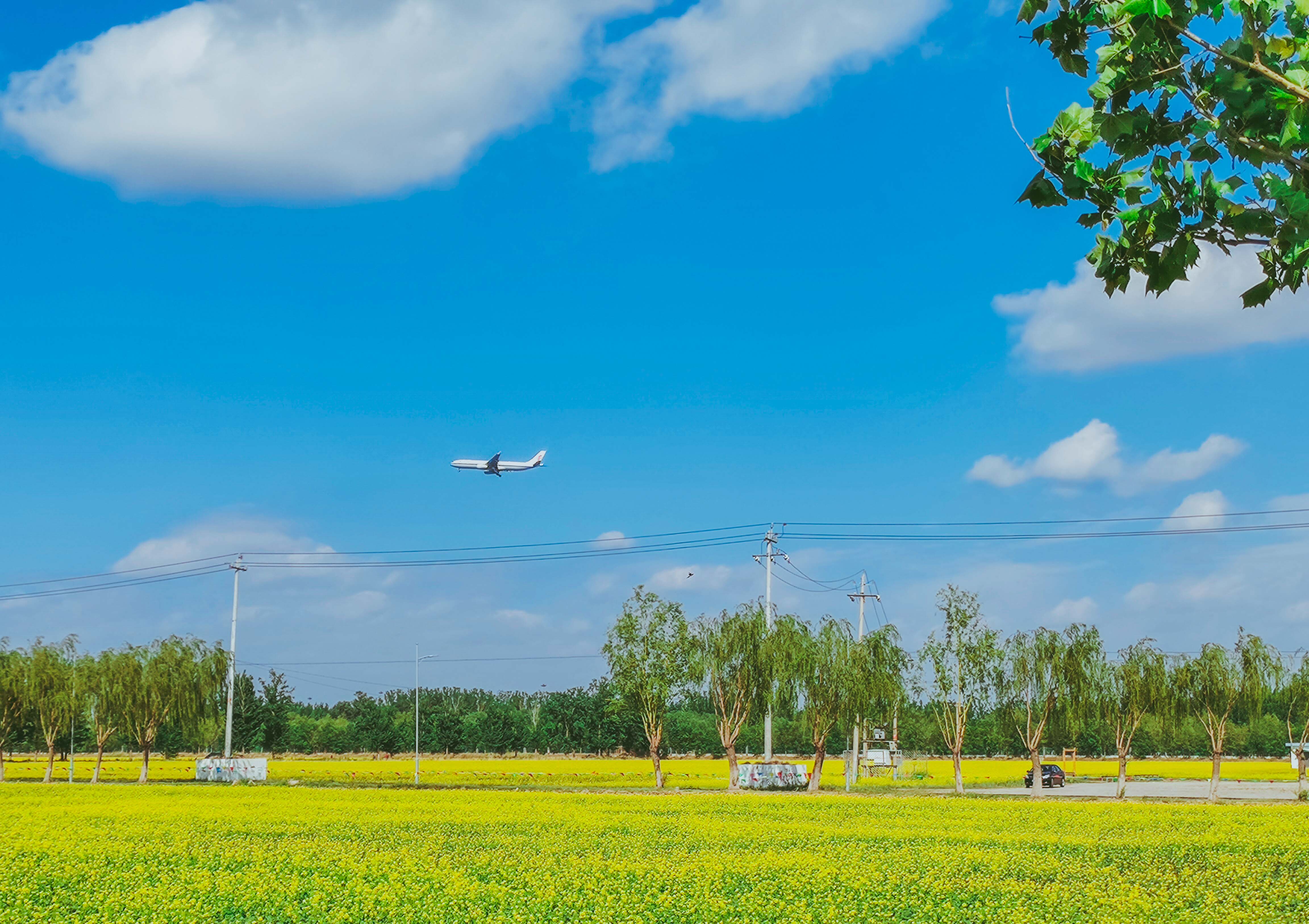 粉丝生活楼台村像童话世界更像是漫画中的世界