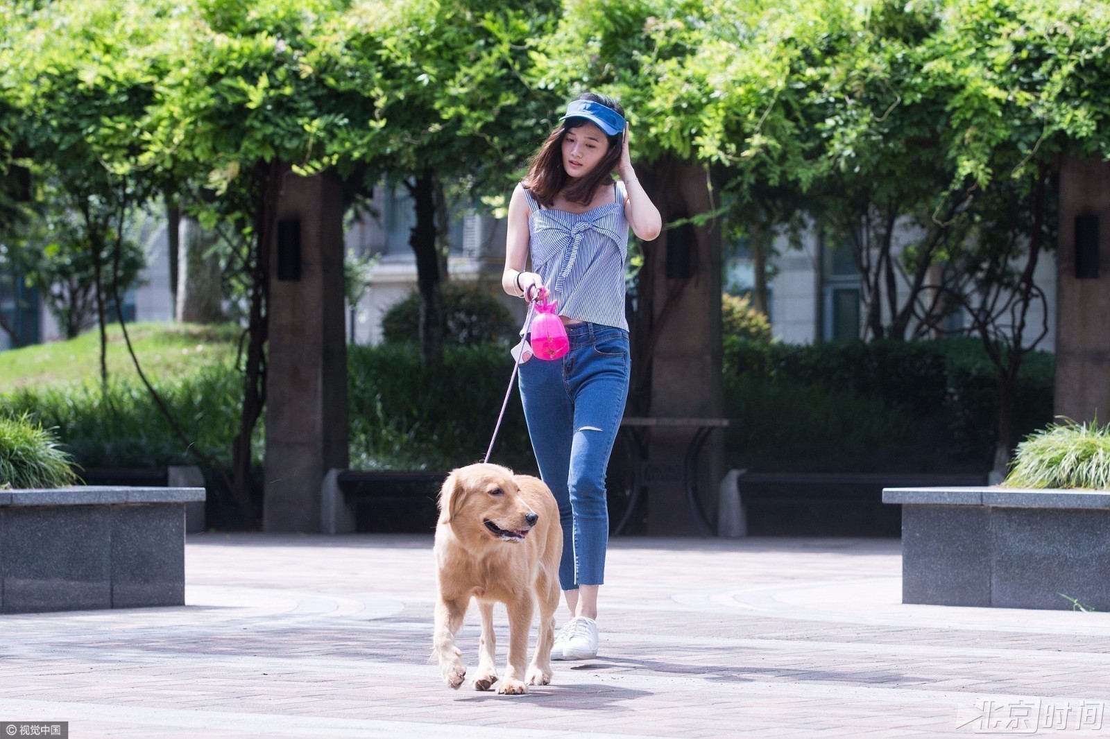 浙江省杭州市,一位90後女大學生做奇葩兼職月入過萬,幫人遛狗,給程序