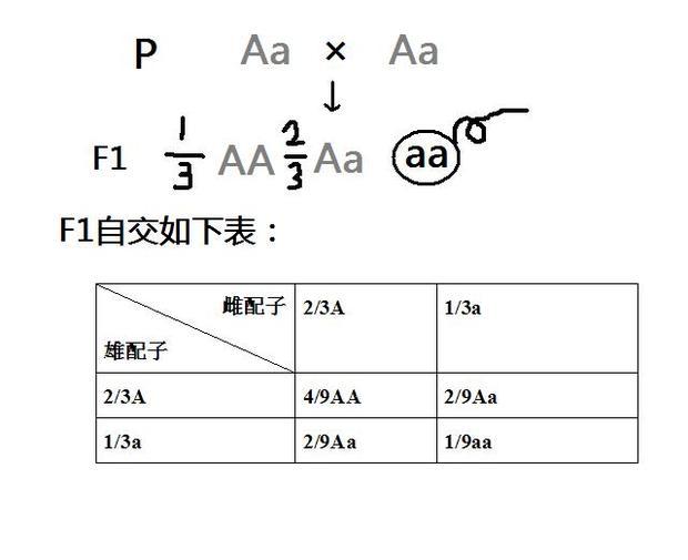 果蠅的灰身和黑身是常染色體上的一對等位基因控制的相對性狀,用雜合