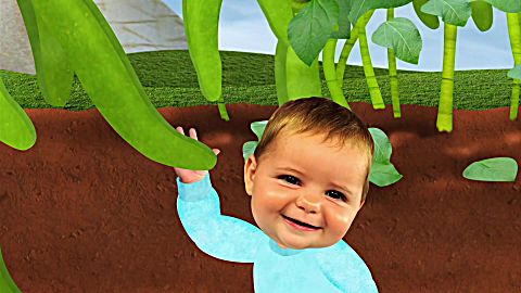 杰克宝贝第二季