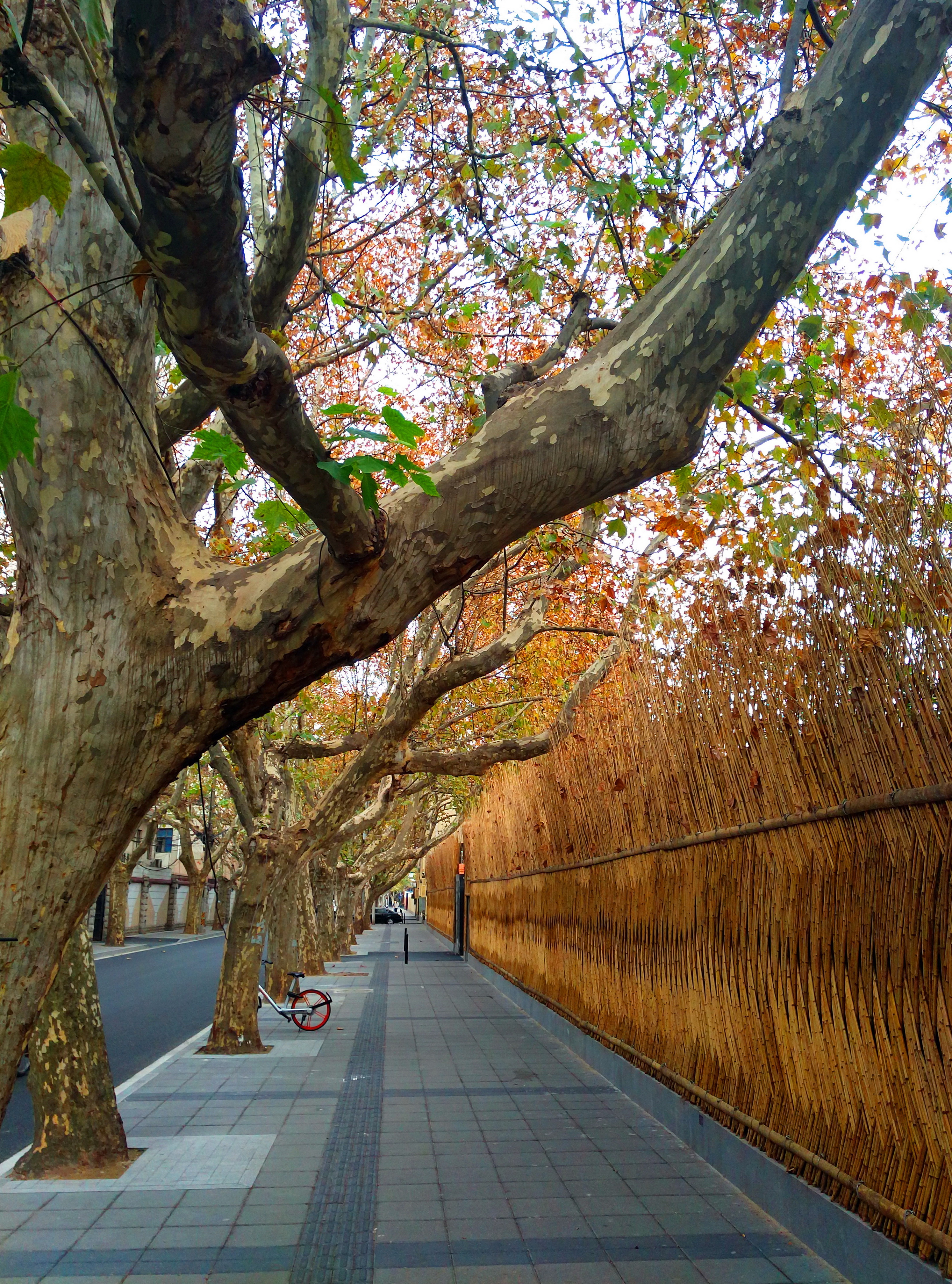 360摄堂以360手机拍照讲风景照常用构图法曲线构图