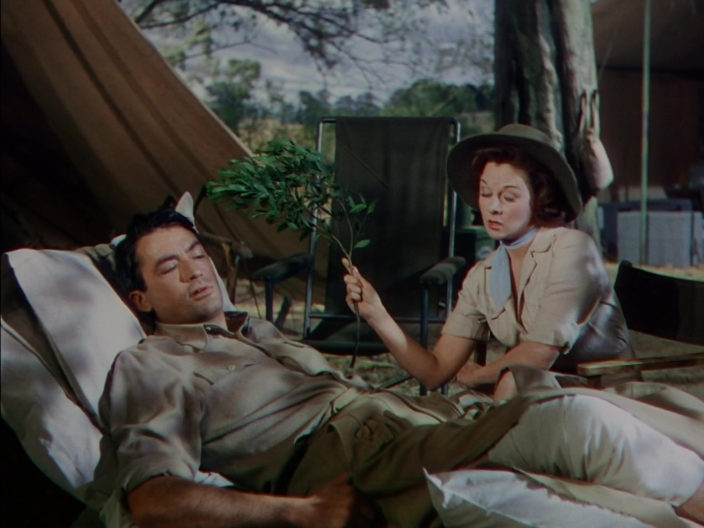 安排香饵钓金龟