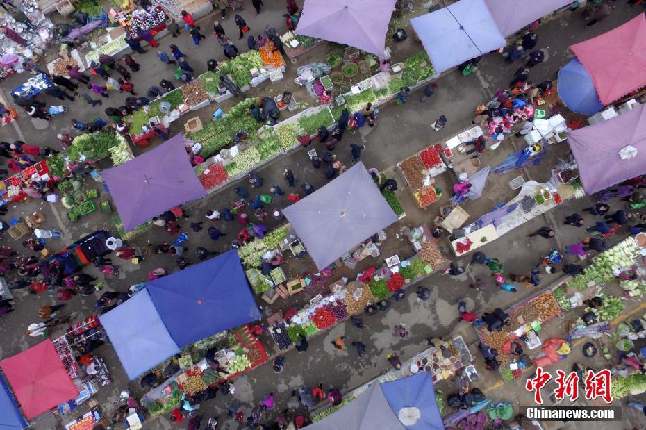 成都大型露天菜市成"最便宜菜市场"