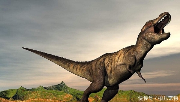 世界上最强的恐龙图片