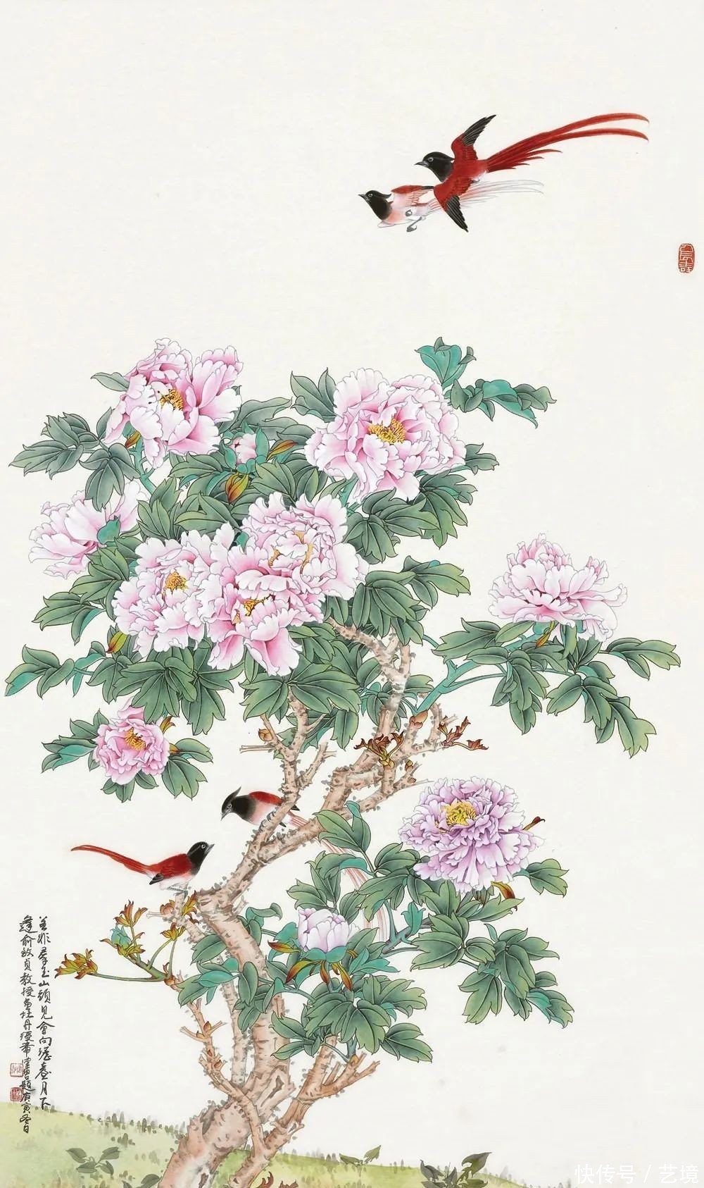 灵鸟锦文垂红碧——绶带鸟与寿诞吉祥文化 - 360娱乐,你开心就好