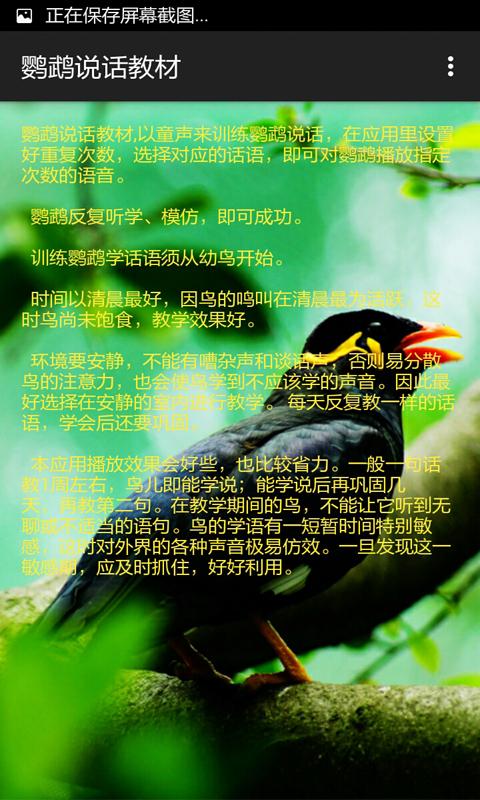 鹦鹉说话教材app版本信息_鹦鹉说话教材app更新记录_鹦鹉说话教材app