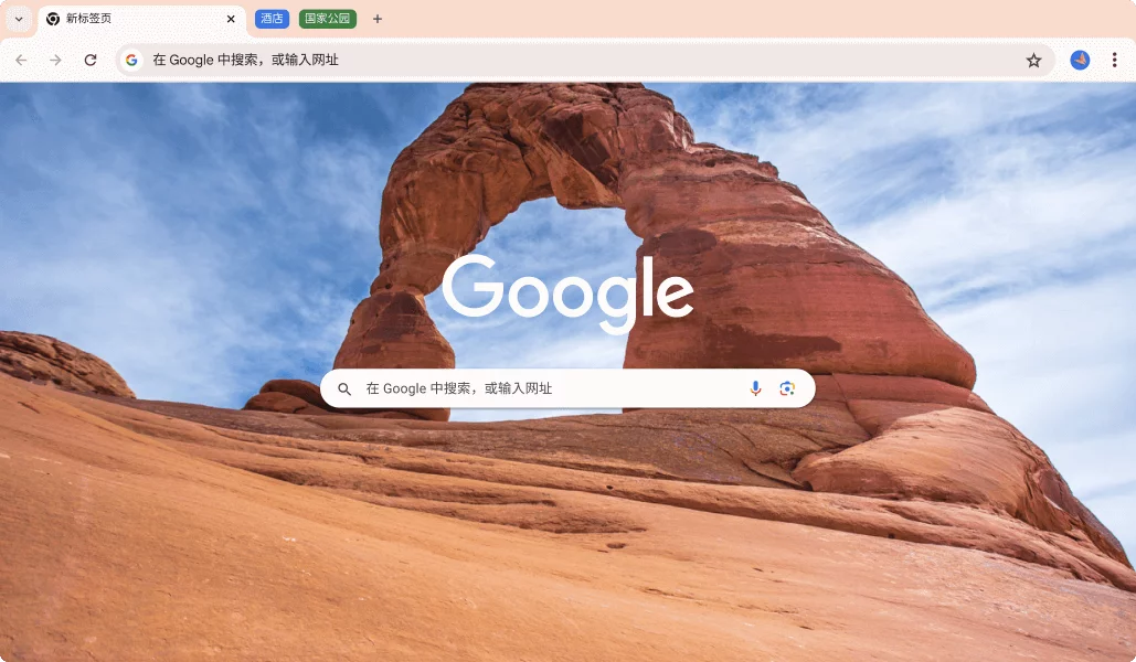 Google Chrome 浏览器界面