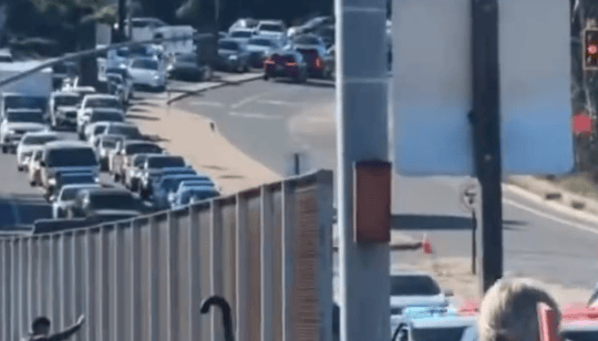 男子高架桥上跑酷致堵瘫8小时