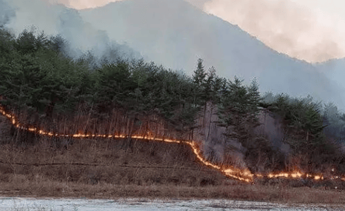 韩山火已烧4600个足球场面积