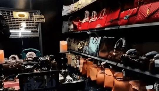 幼儿园园长诈骗1451万养男模