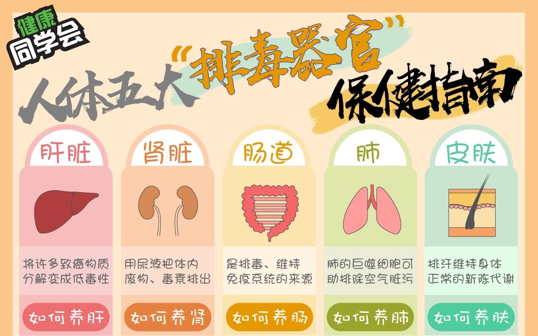 悦心荟：在喧嚣城市中寻找心灵驿站
