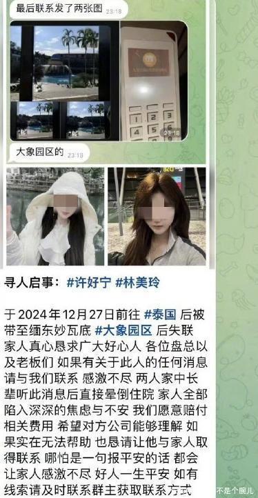 电诈惊魂！小明星王星已经回国，军人世家出身的杨泽琪何时归来 - 360娱乐，你开心就好