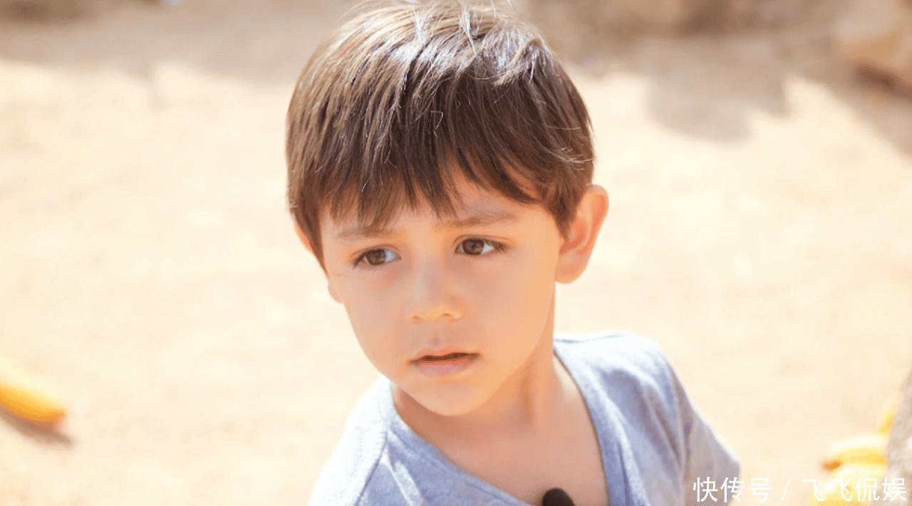 刘烨的儿子刘诺一,惊艳亮相法国新闻,播音主持专业前景详细分析 - 360娱乐,你开心就好